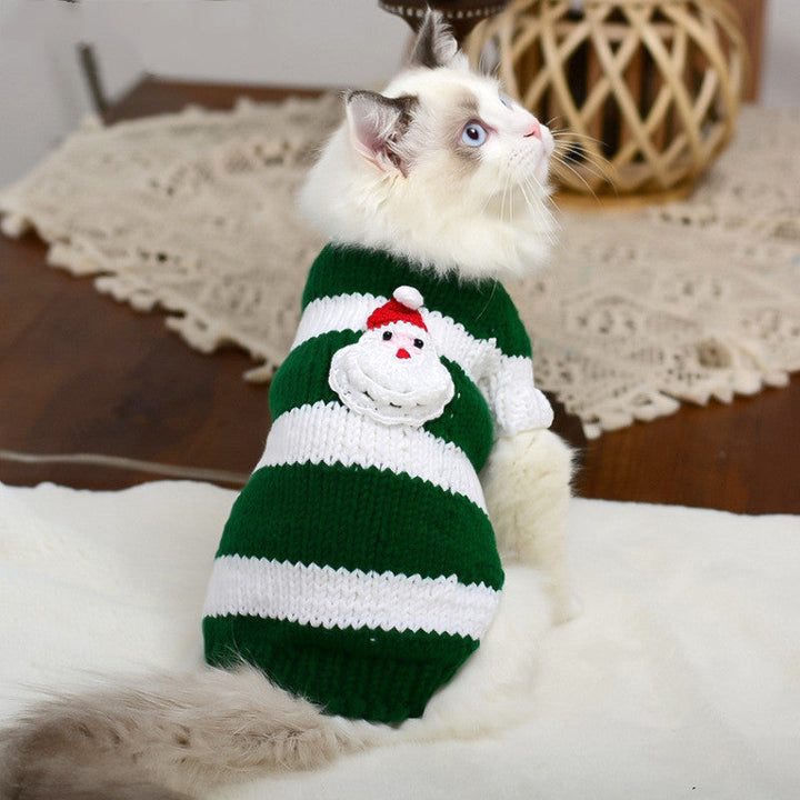 Keep Your Hairless Cat Cozy with Our Warm Sweater