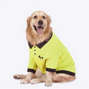 Style Meets Comfort in Pet Clothing