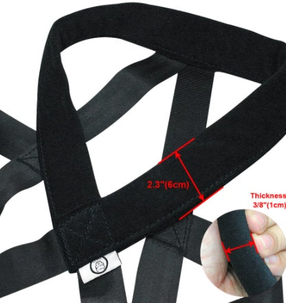 Dog Training Supplies Leashes