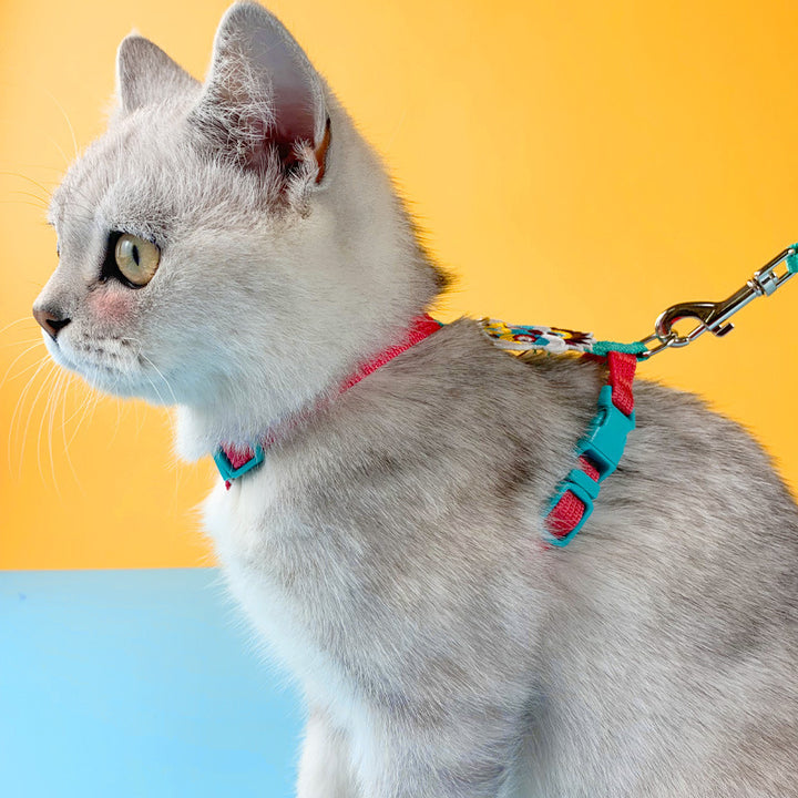 Cat Traction Rope Leashes