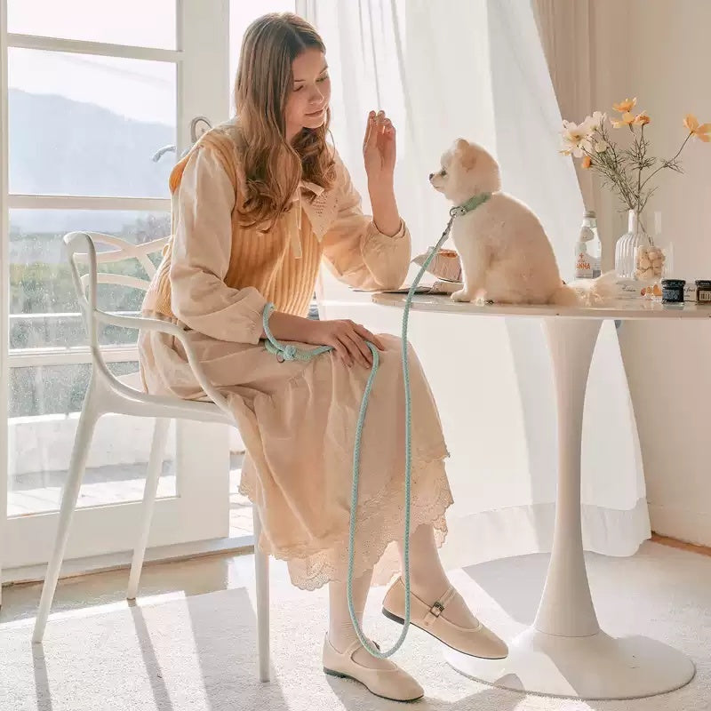 Dog Holding Rope Dog Leash