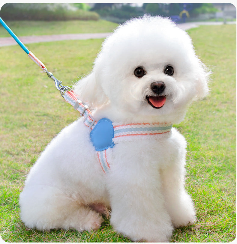 Dog Summer Breathable Leash
