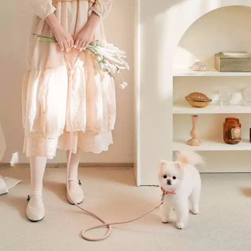 Dog Holding Rope Dog Leash